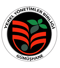 yerel yöentimler bşk